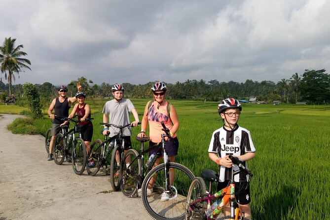 Private Ubud Downhill Cycling with Volcano, Rice Paddies & Meal - Pura Dalem Pukuh: Starting the Ride with Bike Comfort and Direction
