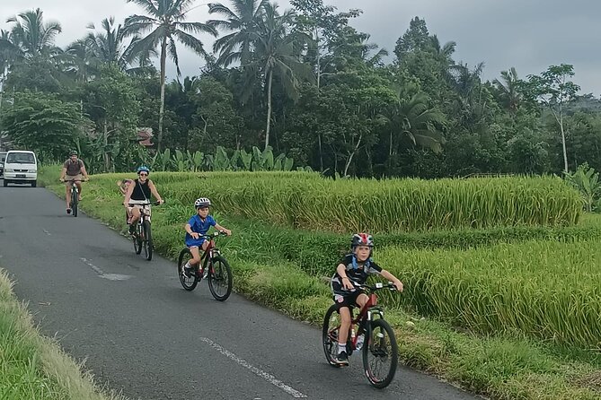 Private Ubud Downhill Cycling with Volcano, Rice Paddies & Meal - Price and Value: What $75 Buys in a Private Day