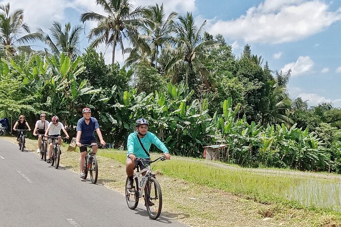 Private Ubud Downhill Cycling with Volcano, Rice Paddies & Meal - Plantation Stop: Learning the Uses of Flora and Tasting Tropical Fruit
