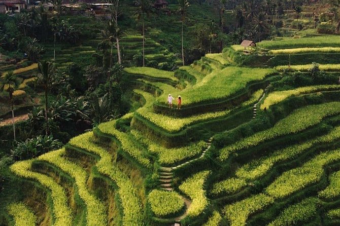 Private Ubud Tour - Key things that make this tour work