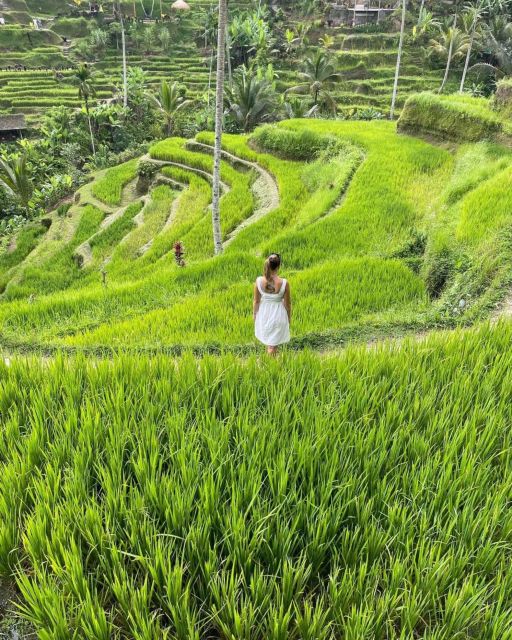 Private ubud tour Rice teracce, temple & Secret waterfall - How the 10-hour Ubud route stays doable