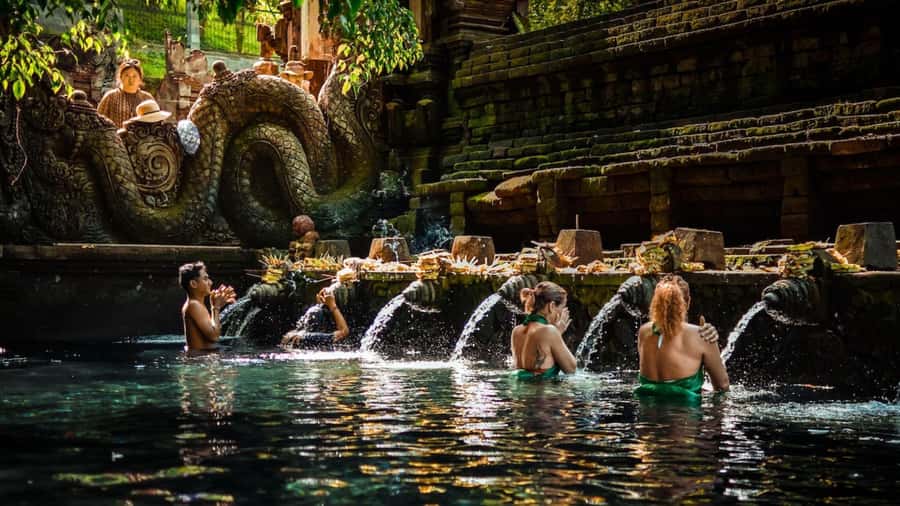 Private Ubud Tour: Sacred Monkeys, Coffee, Temple, Waterfall - Pickup, Timing, and Smooth Transport from Ubud and Beyond