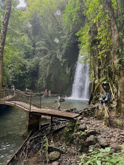 Private Ubud Tour: Sacred Monkeys, Coffee, Temple, Waterfall - Price and Value: What $26 Covers (and What It Doesn’t)
