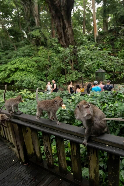 Private Ubud Tour: Sacred Monkeys, Coffee, Temple, Waterfall - Coffee Tasting in Ubud: Learn the Drink, Not Just Taste It