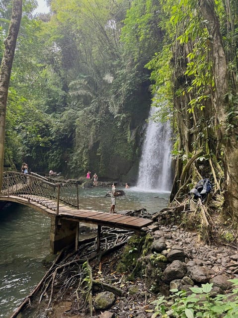 Private Ubud Tour: Sacred Monkeys, Coffee, Temple, Waterfall - Sacred Monkey Forest Sanctuary: Friendly Macaca Fascicularis Up Close