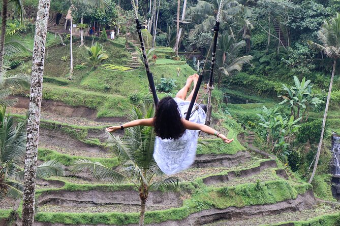 Private Ubud Tour: Waterfall, Rice Terrace & Monkey Forest - Price and Value: What $39 Buys for a Full-Day Ubud Loop
