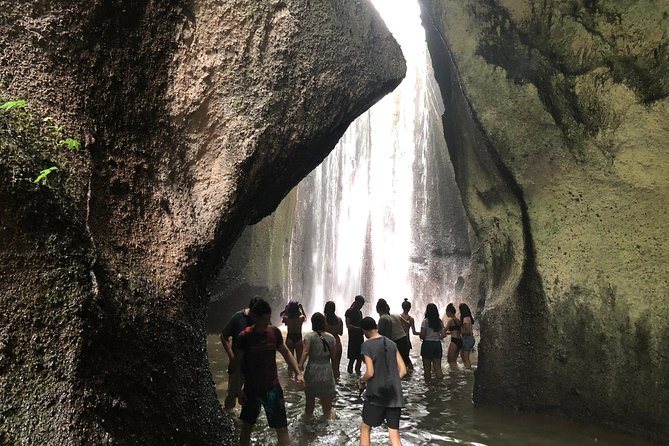 Private Ubud Tour with Hidden Waterfalls - Price and value: $38.98 for a full day of private logistics