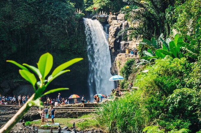 Private Ubud Tour with Swing - Price and Logistics: What the $77 Covers (and What You’ll Pay Separately)