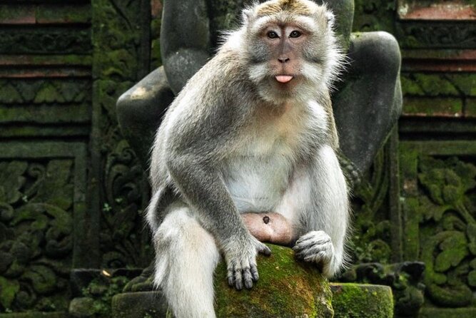 Private Ubud Tour with Swing - Stop 3: Tirta Empul Temple and the Holy Spring Blessings
