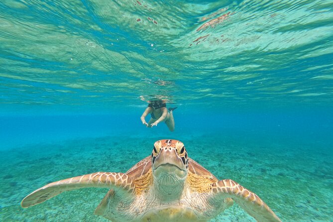 Public Snorkeling 3 Islands - Quick Highlights: What Makes This Snorkeling Trip Work