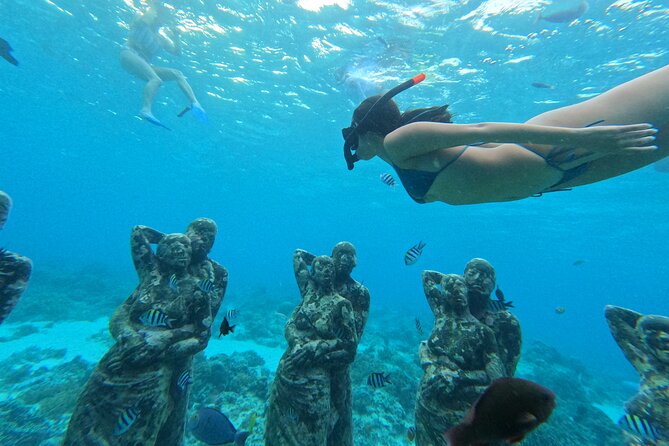 Public Snorkeling 3 Islands - Meeting at Ozzy Cottage: Gear Check Before You Hit the Water