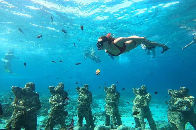 Public Snorkeling 3 Islands - Garden Fish Feeding: A Fun, Mess-Free Taste of Interaction