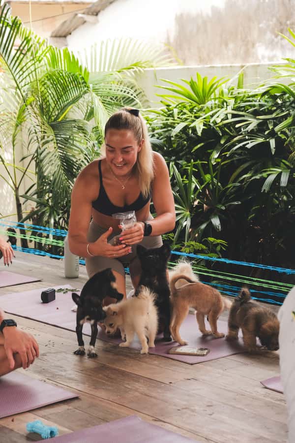 Puppy Yoga in Bali, Canggu – #1 Thing to Do in Bali - Yoga that feels doable: what the class actually means for your body