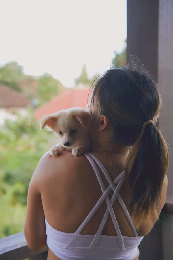 Puppy Yoga in Bali, Ubud – #1 Thing to Do in Bali - Puppy Yoga Bali in Canggu: the setting that makes it feel special