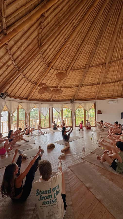 Puppy Yoga in Bali, Ubud – #1 Thing to Do in Bali - Where you meet: Bali Swasthya Yoga Centre and how to plan your arrival