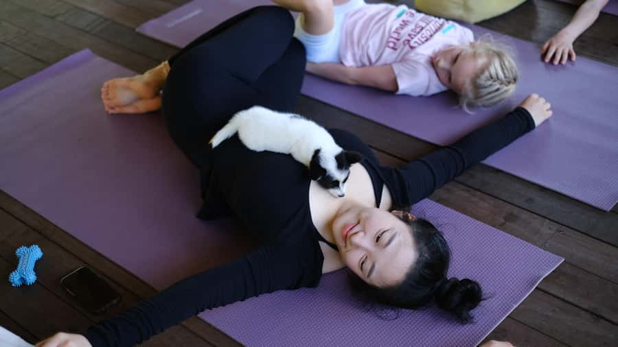 Puppy Yoga in Bali, Ubud – #1 Thing to Do in Bali - Who should book Puppy Yoga Bali (and who should skip)