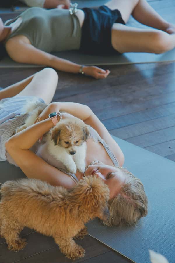 Puppy Yoga in Bali, Ubud & Uluwatu - Photos, Water, and the Little Details That Matter