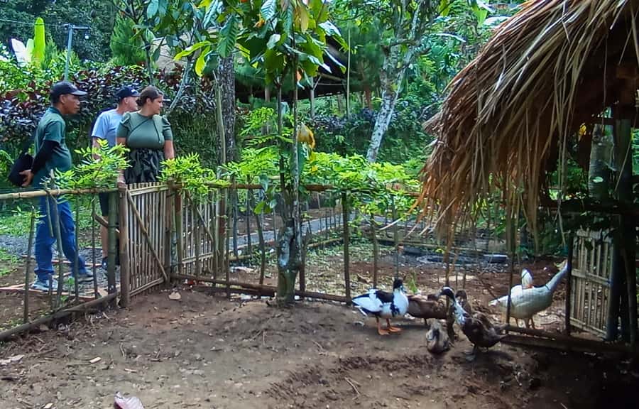 Pure Bali Village Experience Cooking & Jamu Class, Transfer - Paon Bali open-air kitchen: your dishes, step by step