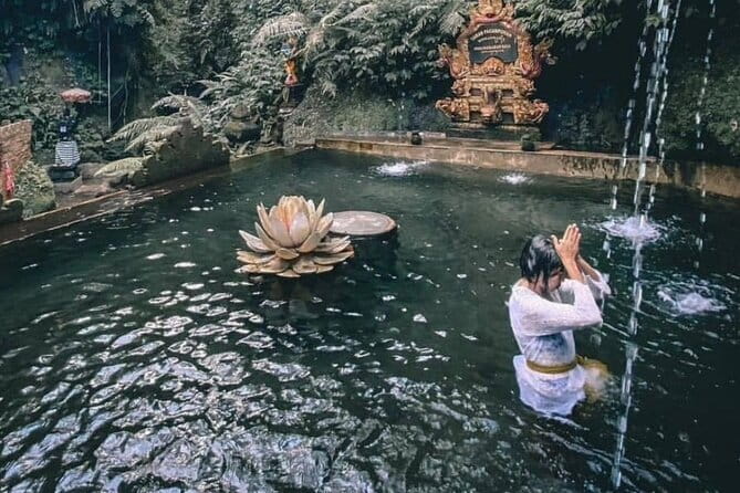 Purification Ceremony, Kehen Temple and Goa Raja Waterfall Tour - Who should book this tour (and who should choose differently)