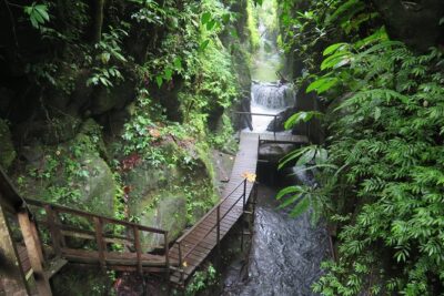 Quad or Buggy Tour with Canyon Tubing Adventure in Bali - Quad or Buggy Time: Villages, Plants, and Rainforest Roads
