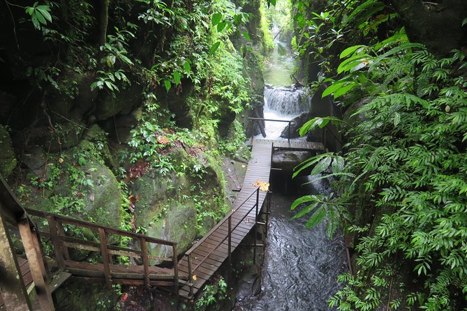 Quad or Buggy Tour with Canyon Tubing Adventure in Bali - Quad or Buggy Time: Villages, Plants, and Rainforest Roads