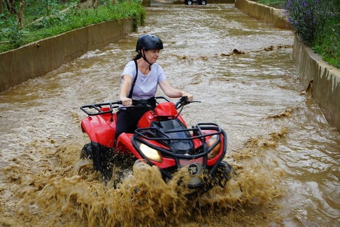 Quad Ride and Ubud Tour - Key highlights worth planning around