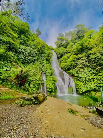 Quad ride, waterfalls & aunthentic cooking class in munduk - Quad biking through coffee plantations and blue hydrangea fields