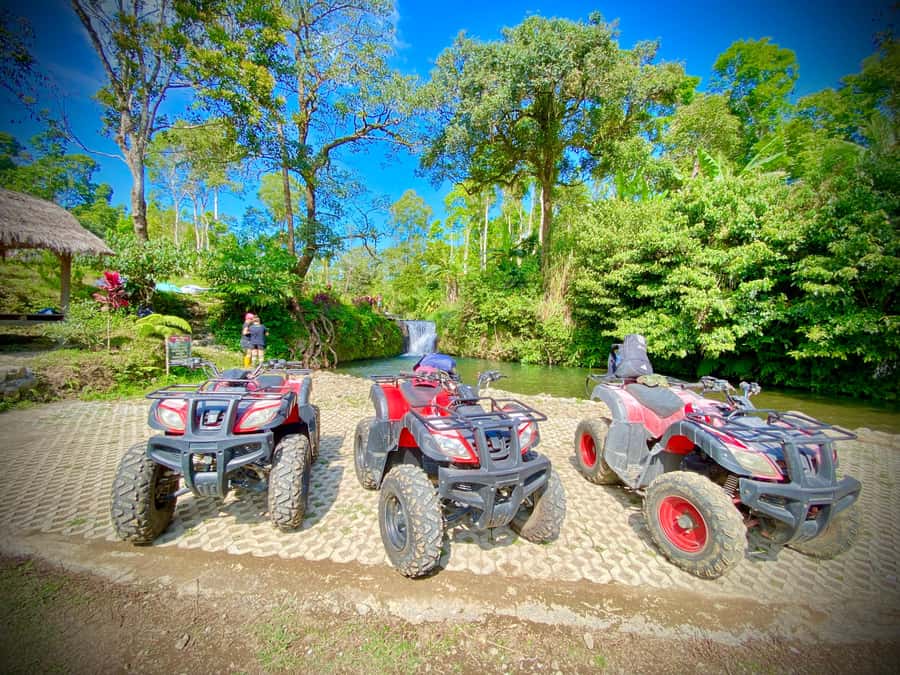 Quad ride, waterfalls & aunthentic cooking class in munduk - Inside the cooking class: hands-on Balinese food from nearby ingredients