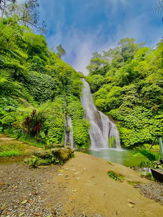 Quad ride, waterfalls & aunthentic cooking class in munduk - Quad biking through coffee plantations and blue hydrangea fields