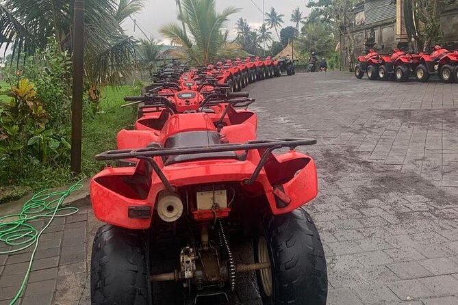 Quadbike Adventure with Tunnel and Waterfall Tour in Bali - After the Ride: Shower, Toilet, and Lunch Without the Stress