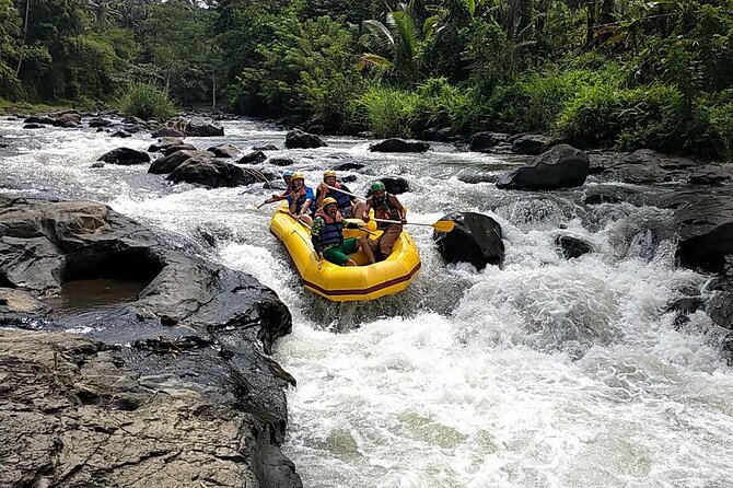 Rafting at Jangkok River Lombok - Key Highlights You’ll Actually Notice