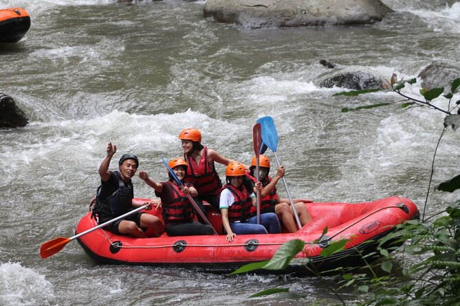 Rafting Swing Monkey Forest And Waterfall Tour All Inclusive - A One-Day Loop Around Ubud: Rafting, Swing, Monkeys, and a Waterfall
