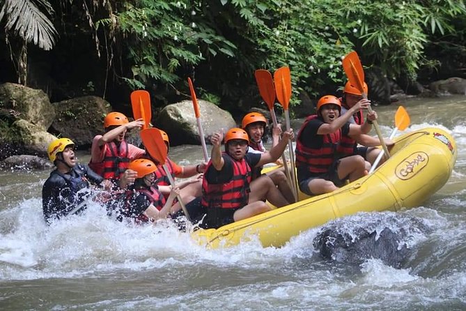 Rafting Swing Monkey Forest And Waterfall Tour All Inclusive - Pickup, Group Size, and the 7-Hour Rhythm