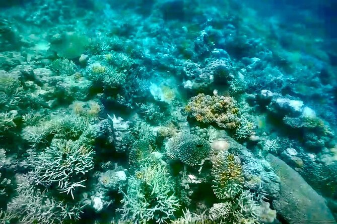 Rangko Cave & Beach Snorkeling Half Day Sharing Trip Labuan Bajo - Boleng Beach Snorkeling: Wooden Boat Hop and Reef Time