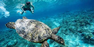 Rent Gopro 10 for all day - Price and Value: Why $18 Can Make Sense for One Day