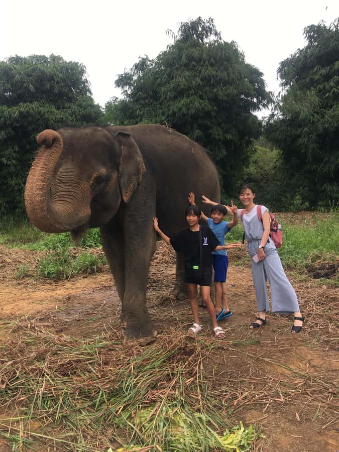Safari Lagoi & Eco Farm Bintan - What you’ll see: endangered Indonesian fauna (and why that matters)