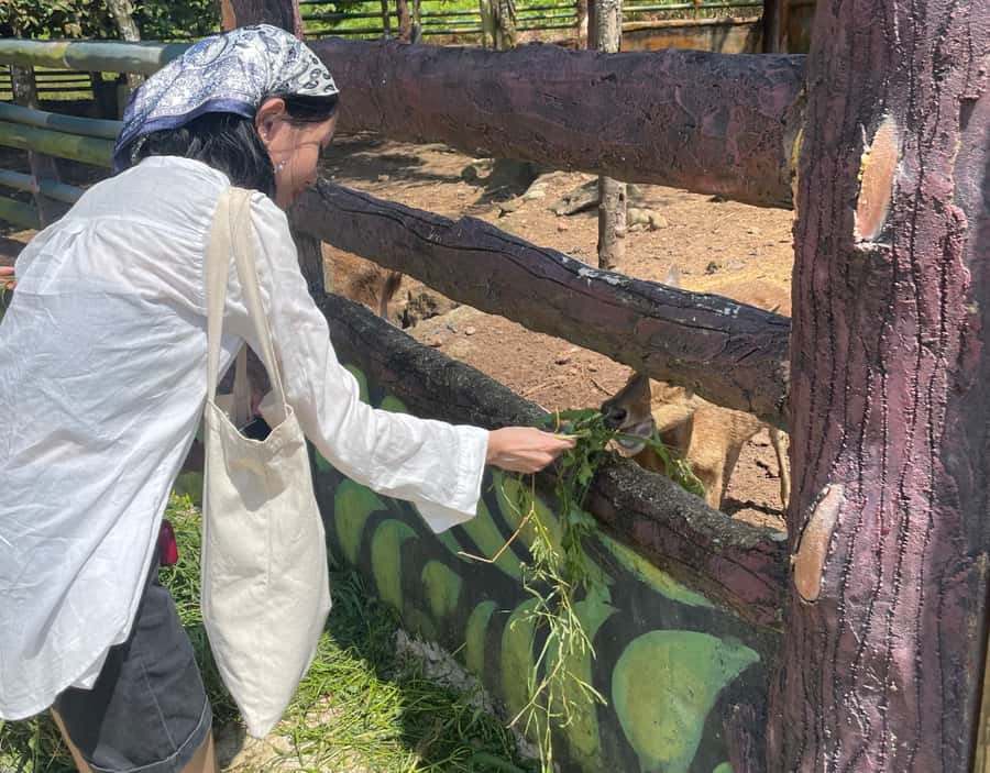 Safari Lagoi & Eco Farm Bintan - What to bring (and what will make it easier)