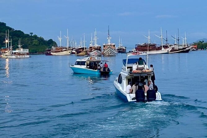 Sailing Flores to Lombok 5 days 4 Nights All Inclusive Trip - Day 4: Saleh Bay whale sharks and Kenawa Island sunset or sunrise
