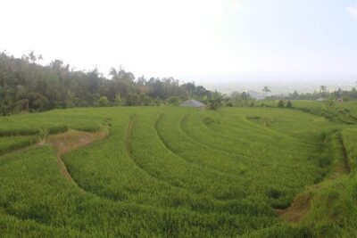 Sambangan Trekking, Sliding, Jumping in Scenic Waterfalls - Trekking time: what you’re doing for 3–4 hours