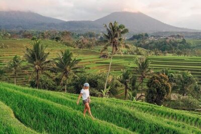 Sangeh Monkey Forest, Jatiluwih & Batukaru Temple Tour - Price and Logistics: Is $75.99 Good Value?
