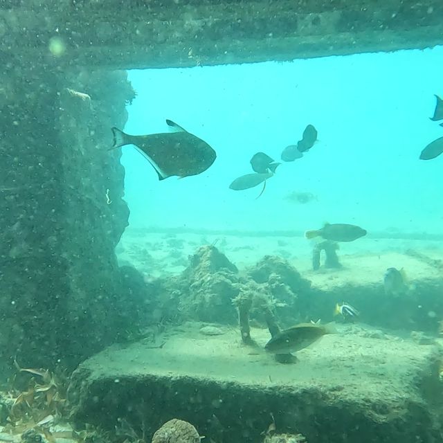 Sanur: Coastal Area Snorkeling Session - Sanur’s Underwater Balinese Gate: Why This Spot Feels Special