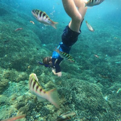 Sanur: Coastal Area Snorkeling Session - TAPHA Meeting Point and the Two Water-Taxi Hops