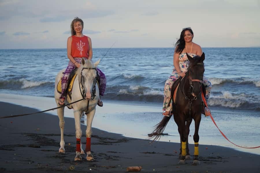 Sanur: Horse Riding at the Bali Beach 30 minute ride - From Manage to Shore: What the Ride Actually Feels Like