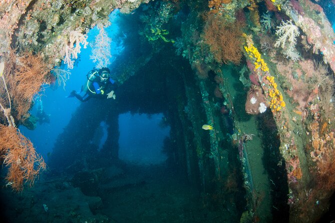 Sanur Open Water Course learn diving in 3 Days - Get certified & Dive everywhere - What $480 buys you (and how to judge the value)
