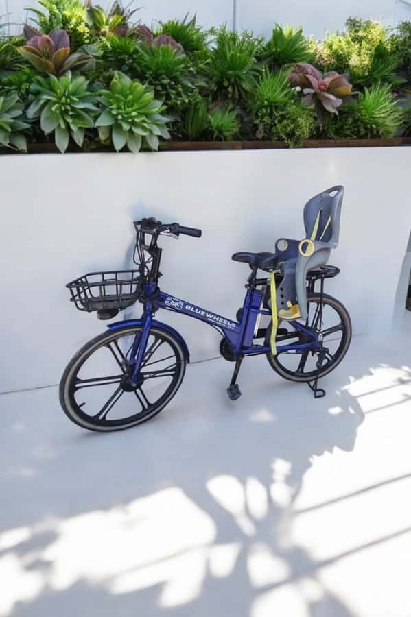 Sanur Village E-bike Tour: Family-Friendly Adventure - Guide Quality Makes or Breaks It (And Here’s What You Can Hope For)