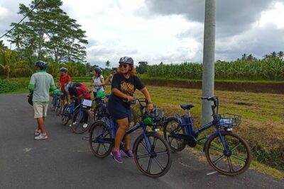 Sanur Village E-bike Tour: Family-Friendly Adventure - The Mangrove + Village Lane Start: How You Get Away From the Crowds