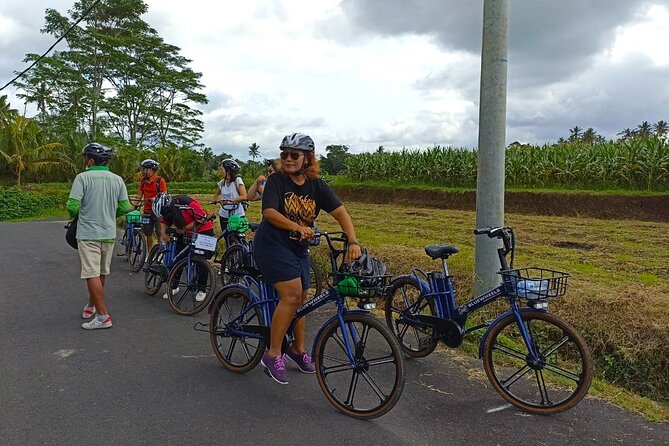 Sanur Village E-bike Tour: Family-Friendly Adventure - The Mangrove + Village Lane Start: How You Get Away From the Crowds