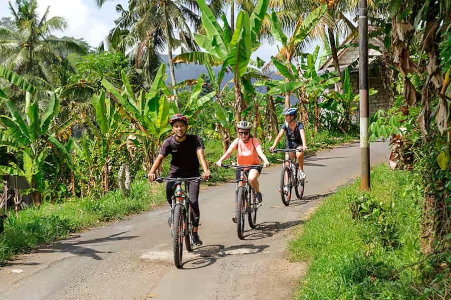 Scenic Cycling Tours Through Bali's Sidemen Countryside - Quick Highlights You’ll Actually Feel on the Day