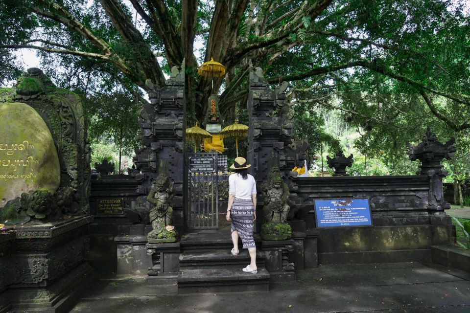 Scenic Cycling Tours Through Bali's Sidemen Countryside - Sidemen Villages and Rice Terraces: The Best Part of the Ride