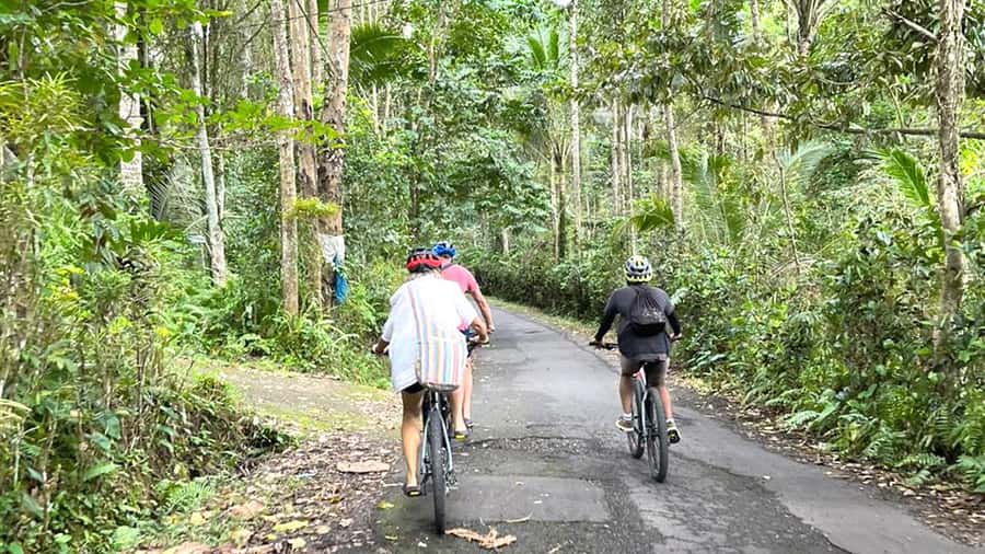 Scenic Cycling Tours Through Bali's Sidemen Countryside - Gembleng Waterfall: Swim, Photos, and a Mental Reset